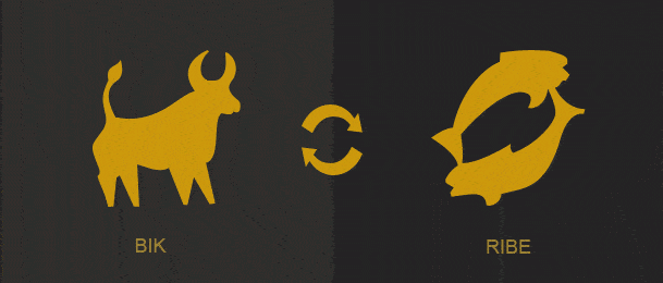 Bik i Ribe - slaganje horoskopskih znakova