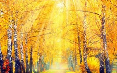 Odnos sunca i neptuna