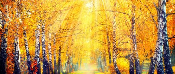 Odnos sunca i neptuna