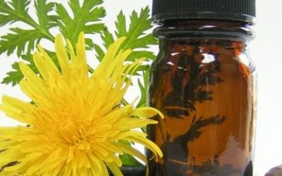 Homeopatija i što ona znači?
