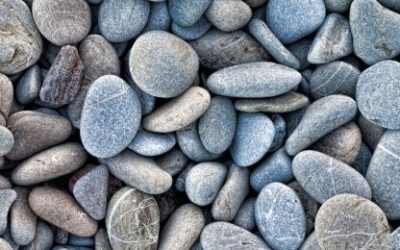 Broncit – kamen odluka i pristojnosti