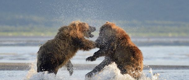 Zodijak i svađanje - blizanci