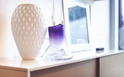 Vaze privlače obilje i bogatstvo