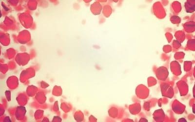 Što je ljubav, požuda, romantična privlačnost, privrženost?