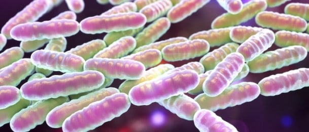 Zbog superbakterija UN priprema deklaraciju