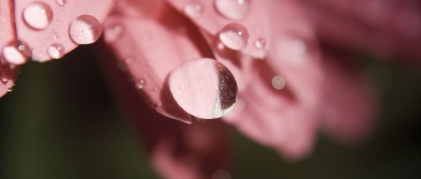 Sviđa mi se najbolji prijatelj