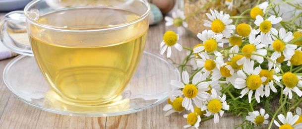 Što je Matcha za kojom su poludjeli svi koji paze na ishranu?