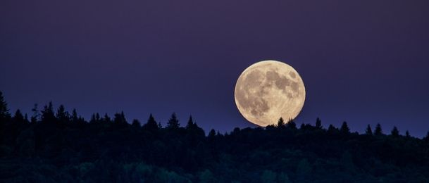 Demon - preuzima oblik koji mu odgovara