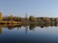 Tvrdo drvo koje ne trune