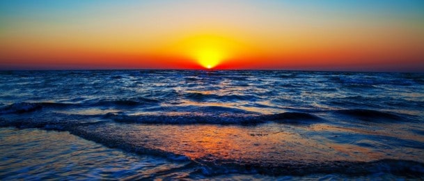 Nije za svačiji ukus - Ove se životinje jedu žive