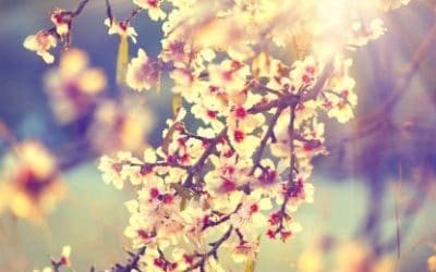 Sunce u vagi