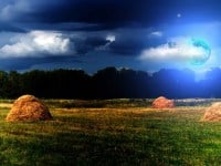 Svjedočenja o obaranju drveća i danima povoljnim za krčenje