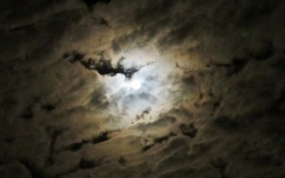 Pomračeno Sunce Mirjane Rakić