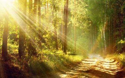 Helioterapija – terapija suncem