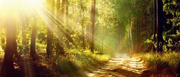 Helioterapija - terapija suncem