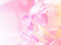 Vjerujete li vlastitom sjećanju?