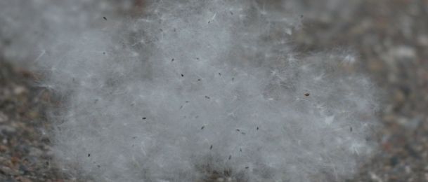 Zašto infekcija sinusa ne prolazi?