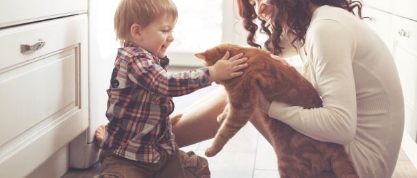 Mamoskop - mama jarac