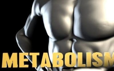 Kako se vaš metabolizam mijenja u 20-ima, 30-ima, 40-ima…