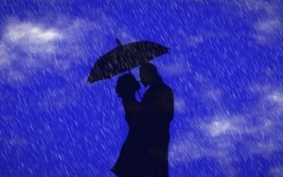 Zanimate ga i pokušat će vas osvojiti