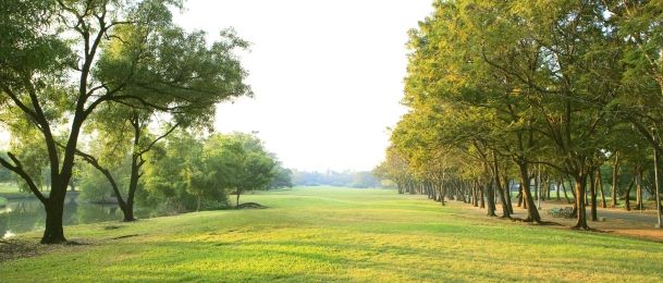 Doktor Bach i Dvanaest iscjelitelja