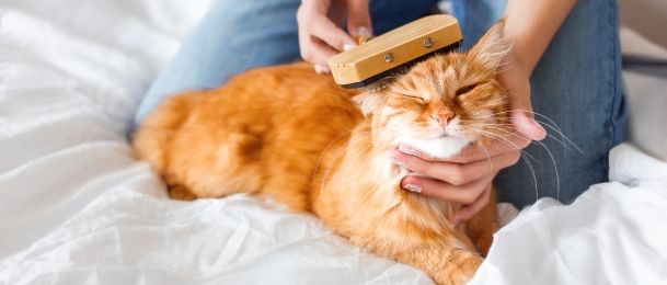 Duhovni darovi koje dobivamo od naših kućnih ljubimaca