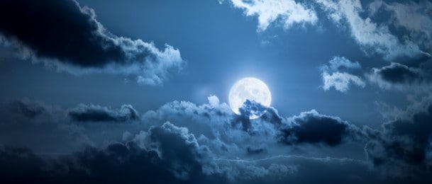 Neodoljivi šarm crne kronike