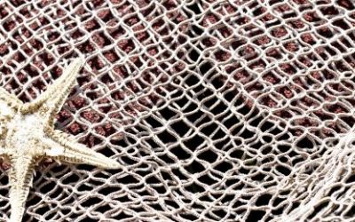 Dijagonalna Curryjeva mreža