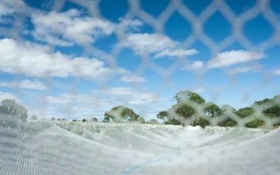 Geopatogene točke Hartmanove mreže