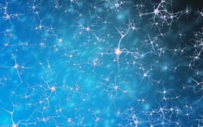 Kako hormoni divljaju kad smo ostavljeni