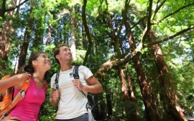 Jednostavne činjenice koje bi mogle spasiti vašu ljubav