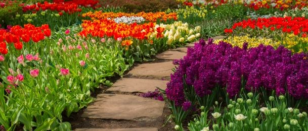 Kako si uljepšati tmurne zimske dane?