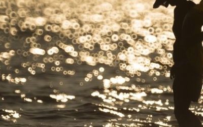 Kako si uljepšati život?