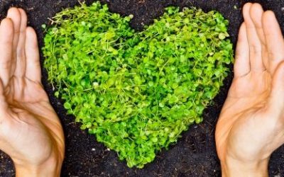 Poboljšanje veze strijelca i jarca