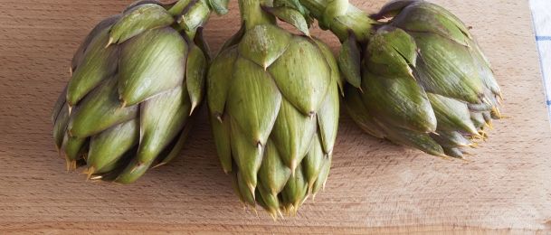 Artičoka