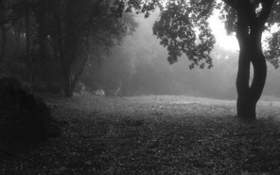 Čega se najviše boje vage?