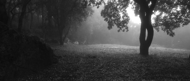 Čega se najviše boje vage?