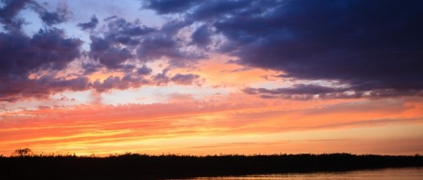 Najbolji trenutak u danu za sakupljanje biljaka