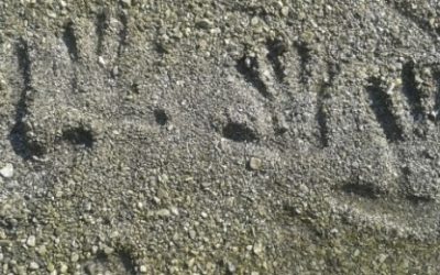 Što otisak prsta otkriva o vašem karakteru