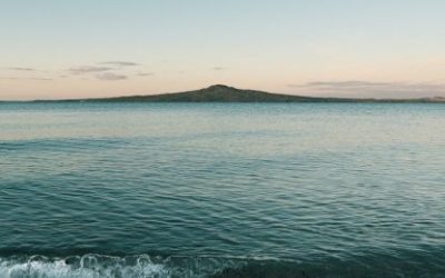 Čega se najviše boje vodenjaci?