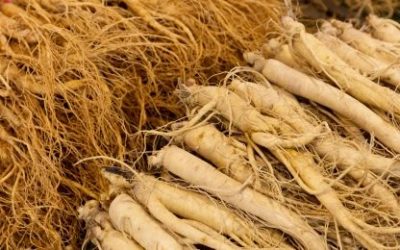 Ginseng