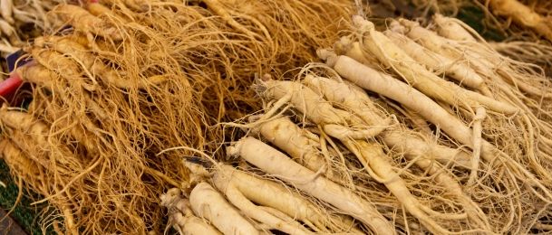 Ginseng