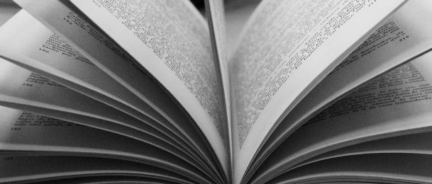 Kakav će školarac biti moje dijete blizanac?